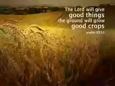 Harvest supper Saturday 11th October